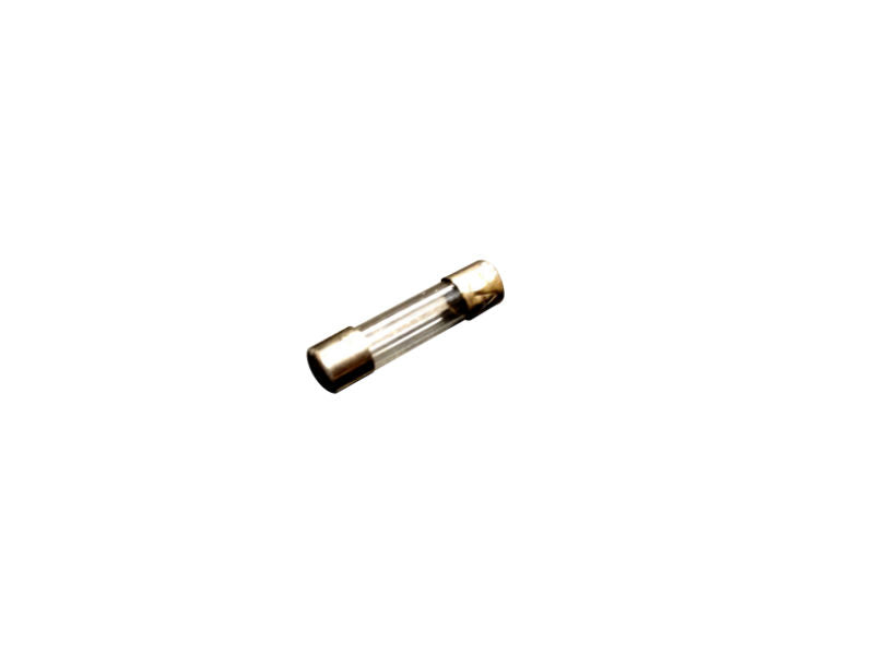 1amp Fuse (Length: 30mm)
